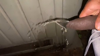 Amateur Exhibitionists Caught On Camera Flashing And Pissing In Public